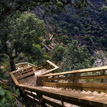 Casa Do Gaio-Turismo De Natureza Арока Екстер'єр фото
