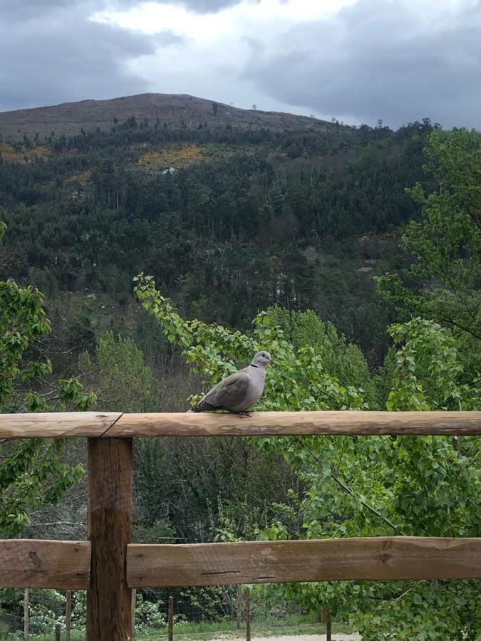 Casa Do Gaio-Turismo De Natureza Арока Екстер'єр фото