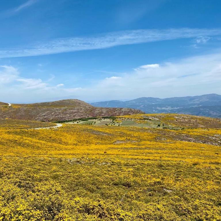 Casa Do Gaio-Turismo De Natureza Арока Екстер'єр фото
