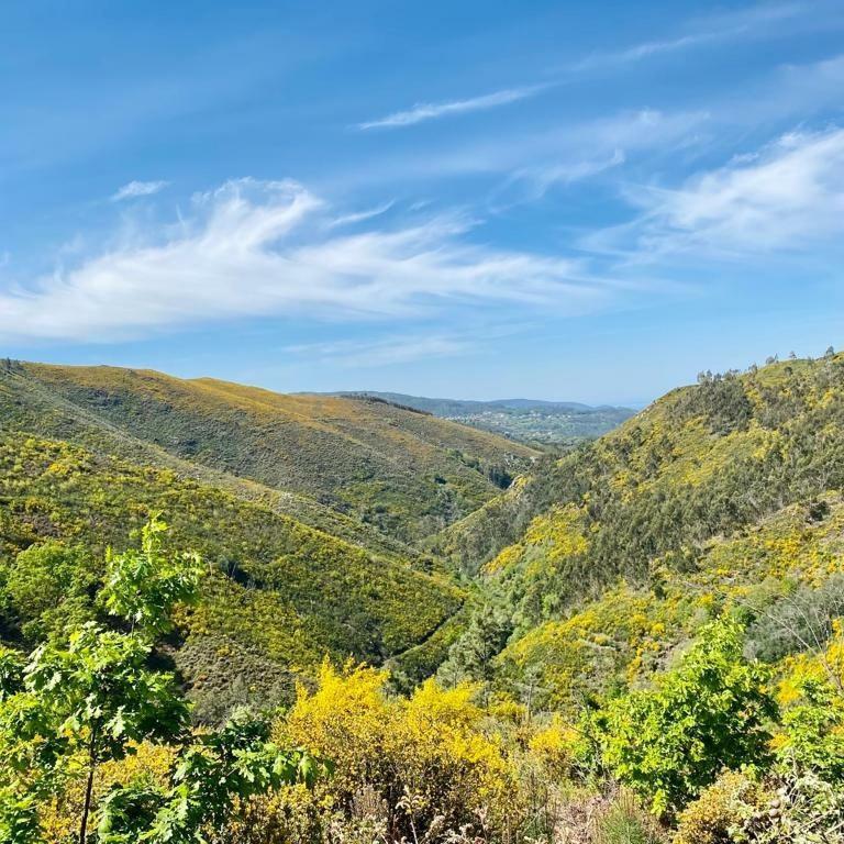 Casa Do Gaio-Turismo De Natureza Арока Екстер'єр фото