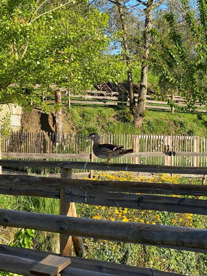 Casa Do Gaio-Turismo De Natureza Арока Екстер'єр фото