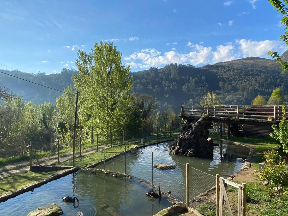 Casa Do Gaio-Turismo De Natureza Арока Екстер'єр фото