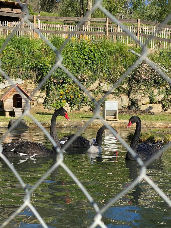 Casa Do Gaio-Turismo De Natureza Арока Екстер'єр фото